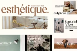 SALE! Modern & Classy Serif Font