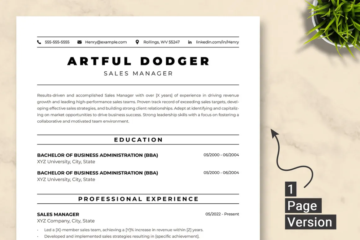 Sales Manager Resume Template