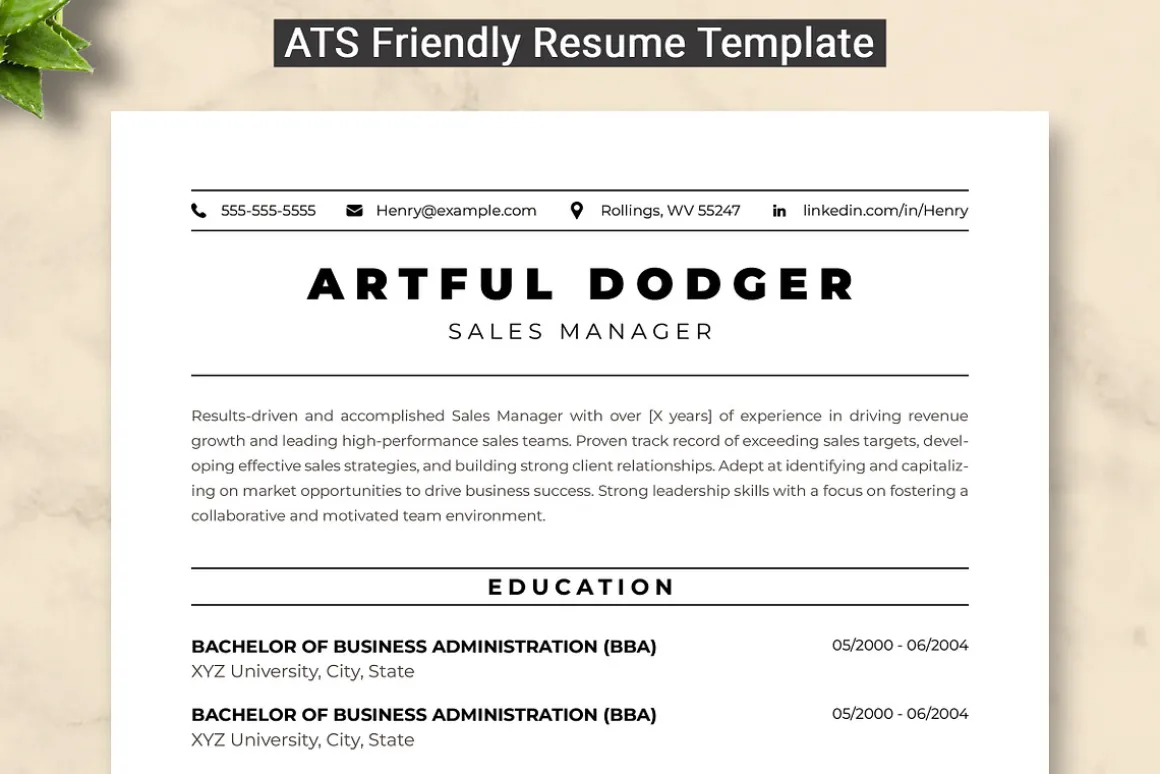 Sales Manager Resume Template