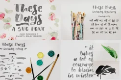 SALE! The SVG Font Bundle