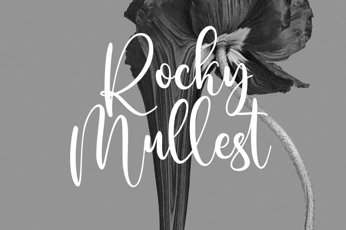 Sallutos Signature Script Font