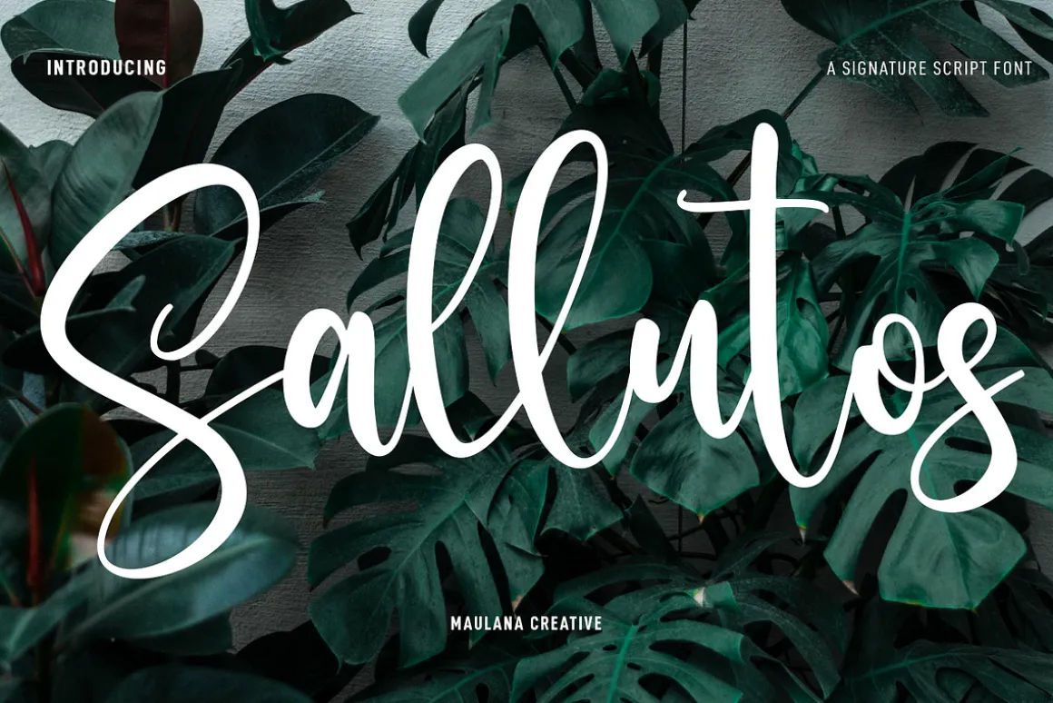 Sallutos Signature Script Font