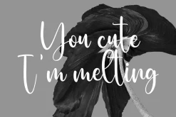 Sallutos Signature Script Font