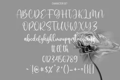 Sallutos Signature Script Font