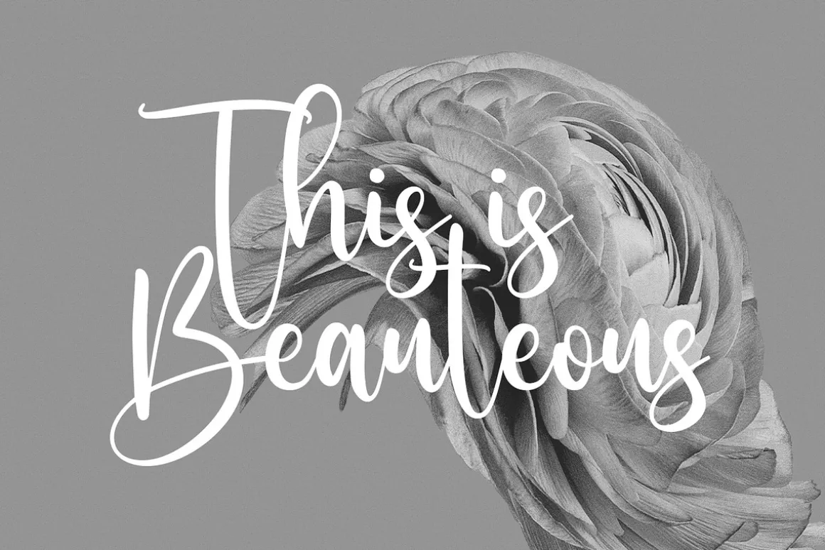 Sallutos Signature Script Font