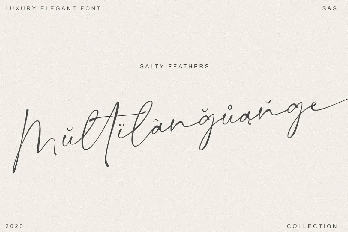 Salty Feathers - Modern Script