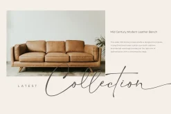 Salty Feathers - Modern Script