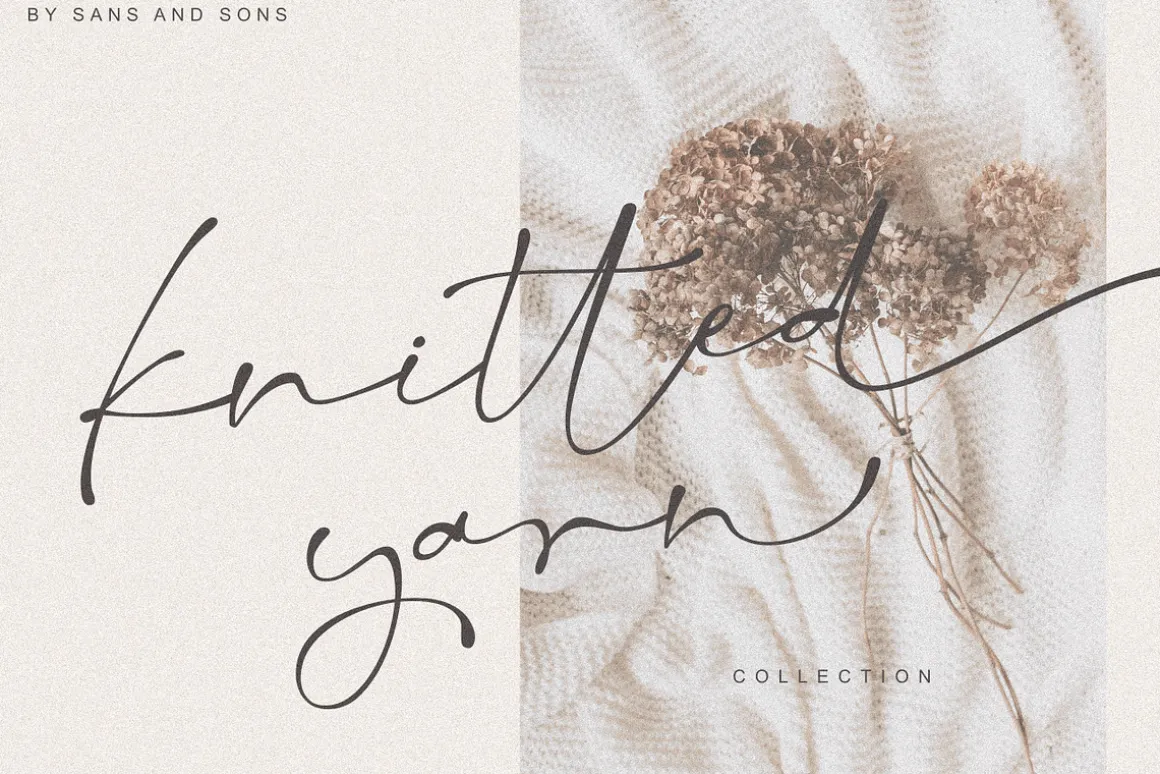 Salty Feathers - Modern Script