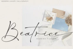 Salty Feathers - Modern Script