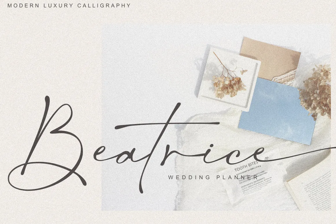 Salty Feathers - Modern Script