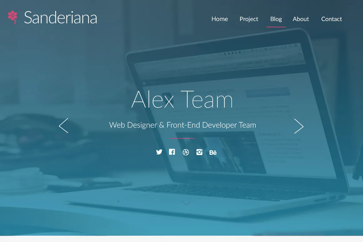 Sanderiana One-Page Portfolio - PSD