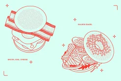Sandwich Vector Illustration