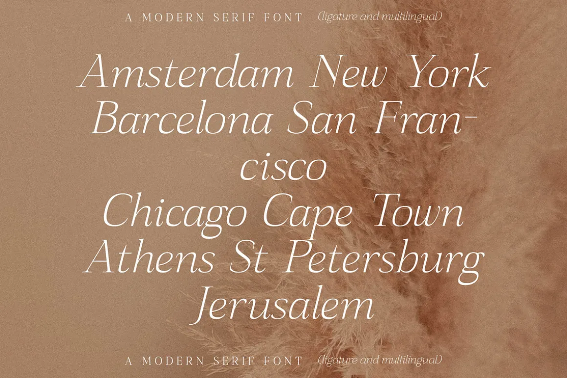 Sanfford A Modern Serif Font