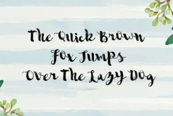 Sannie Typeface