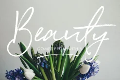 Saturday Rock Font