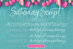 Saturday Script Brush Font