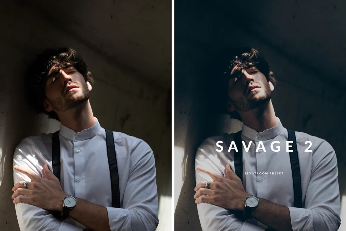 Savage Preset Bundle: S1 + S2 LR ACR