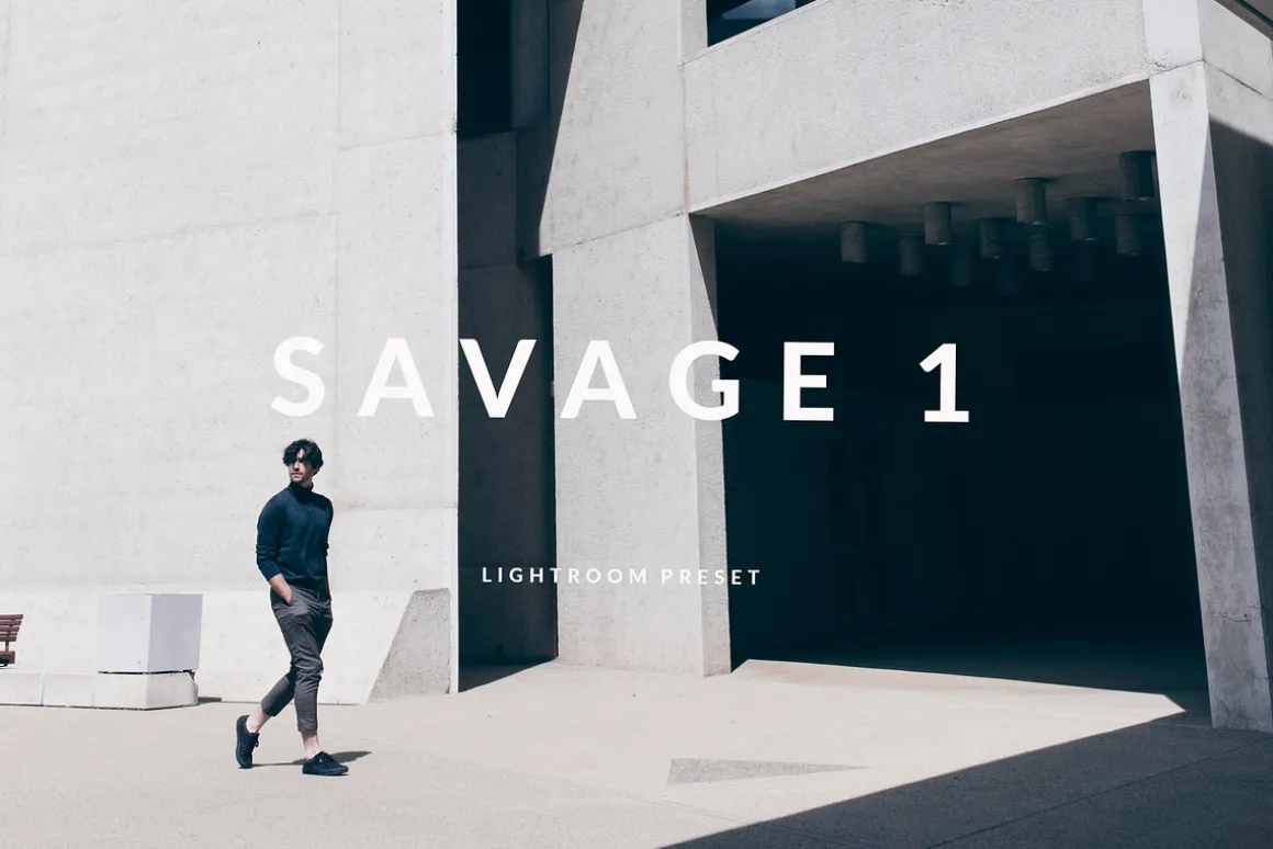 Savage Preset Bundle: S1 + S2 LR ACR