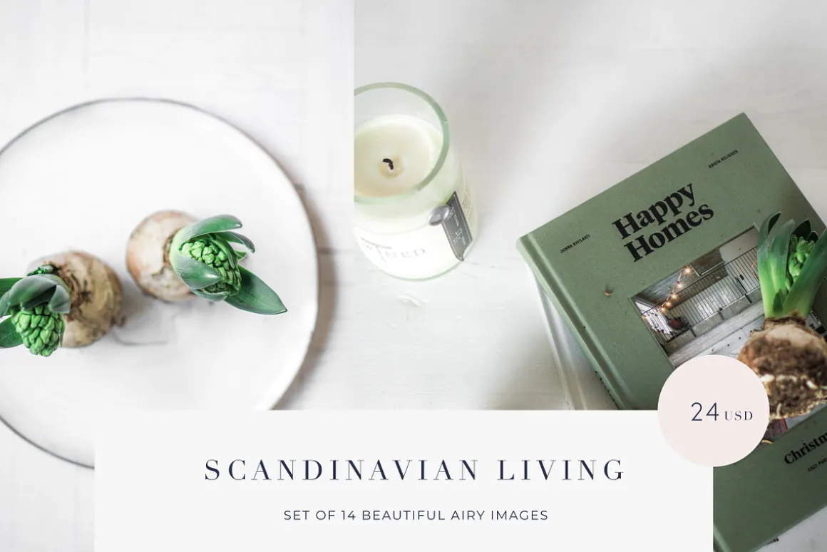 Scandinavian living photos ON SALE!!