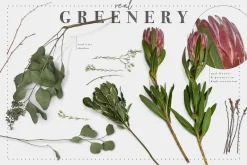 SCENE CREATOR wedding party mockup