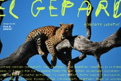 Scrawny Cat Regular Handwritten Font