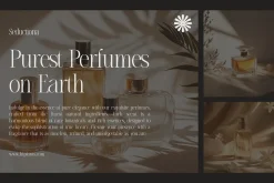 Seductiona - Luxury Ligature Type