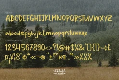 Serella van Houten | Hand Drawn Font