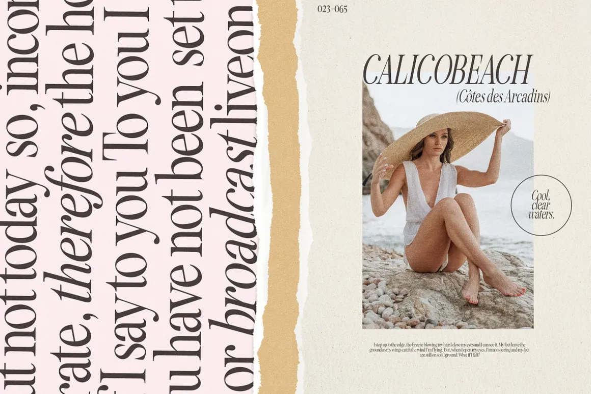 Seriously Nostalgic Serif
