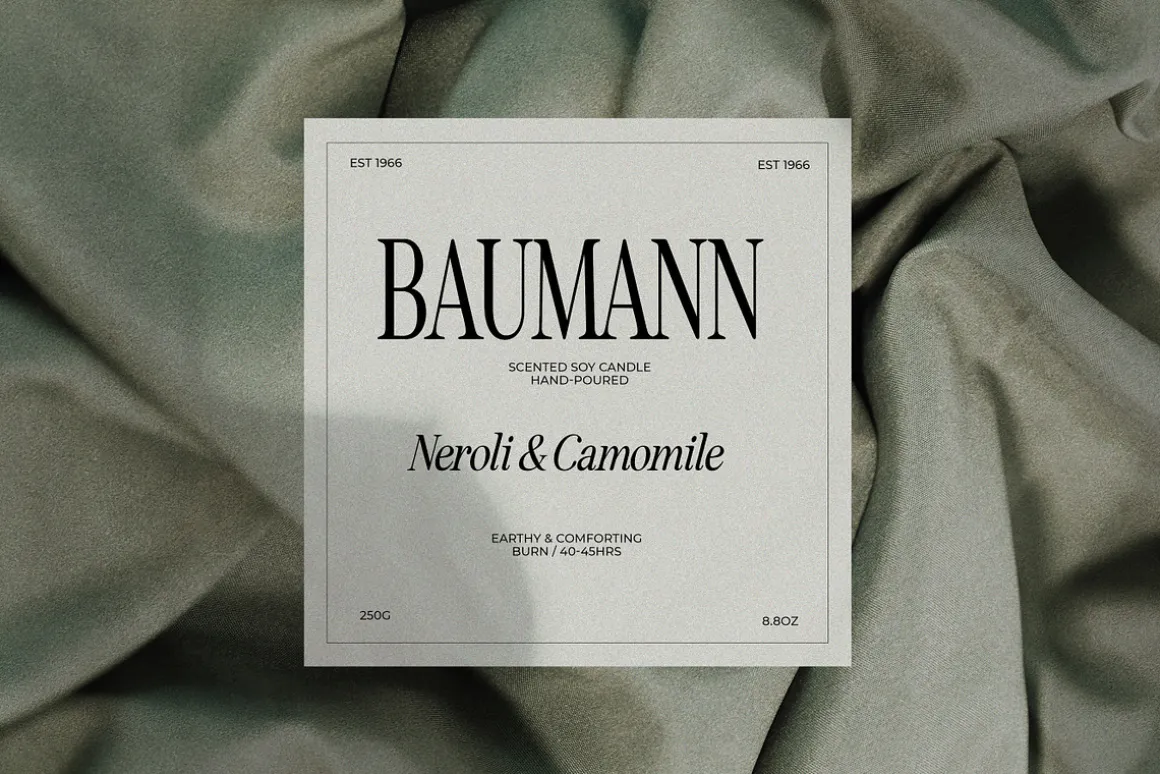 Seriously Nostalgic Serif