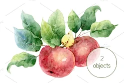 Set with apples