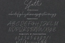 Sfattii - Script