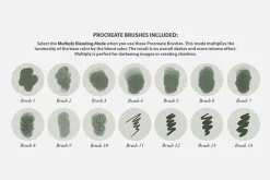 Sharaku Procreate Kit