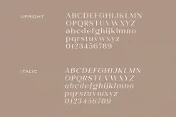 Shavina Serif Typeface