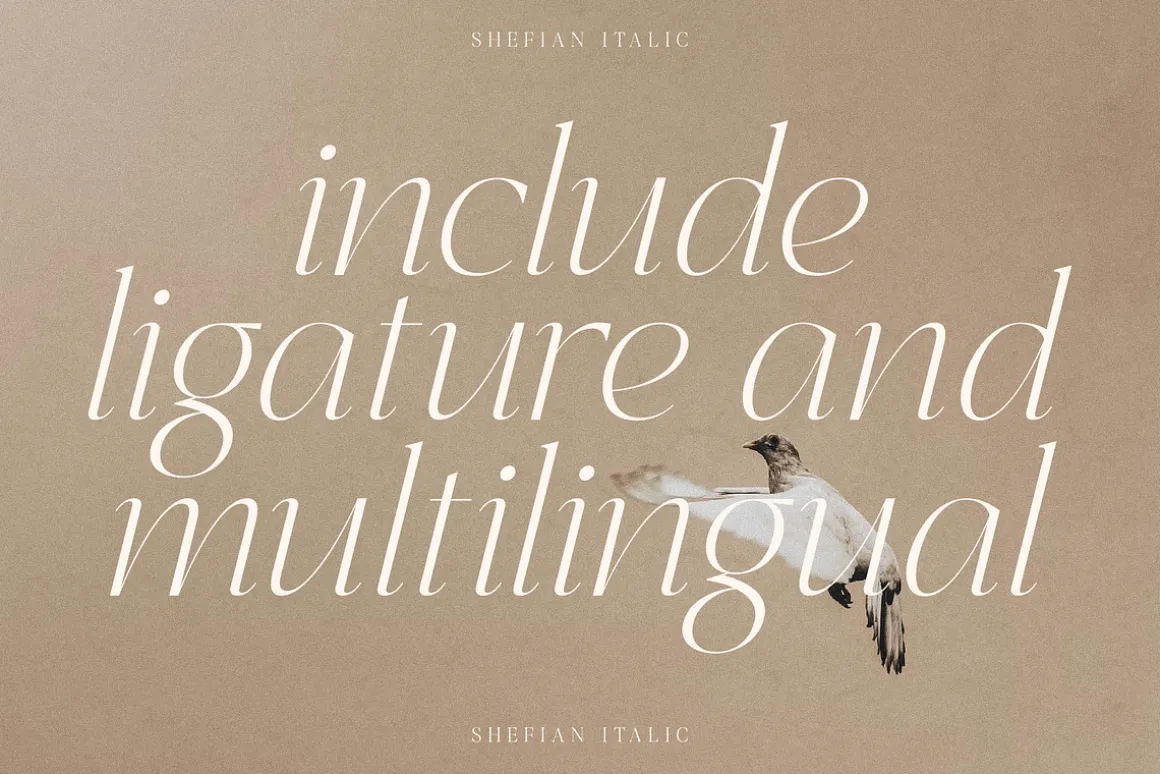Shefian Modern Serif Font