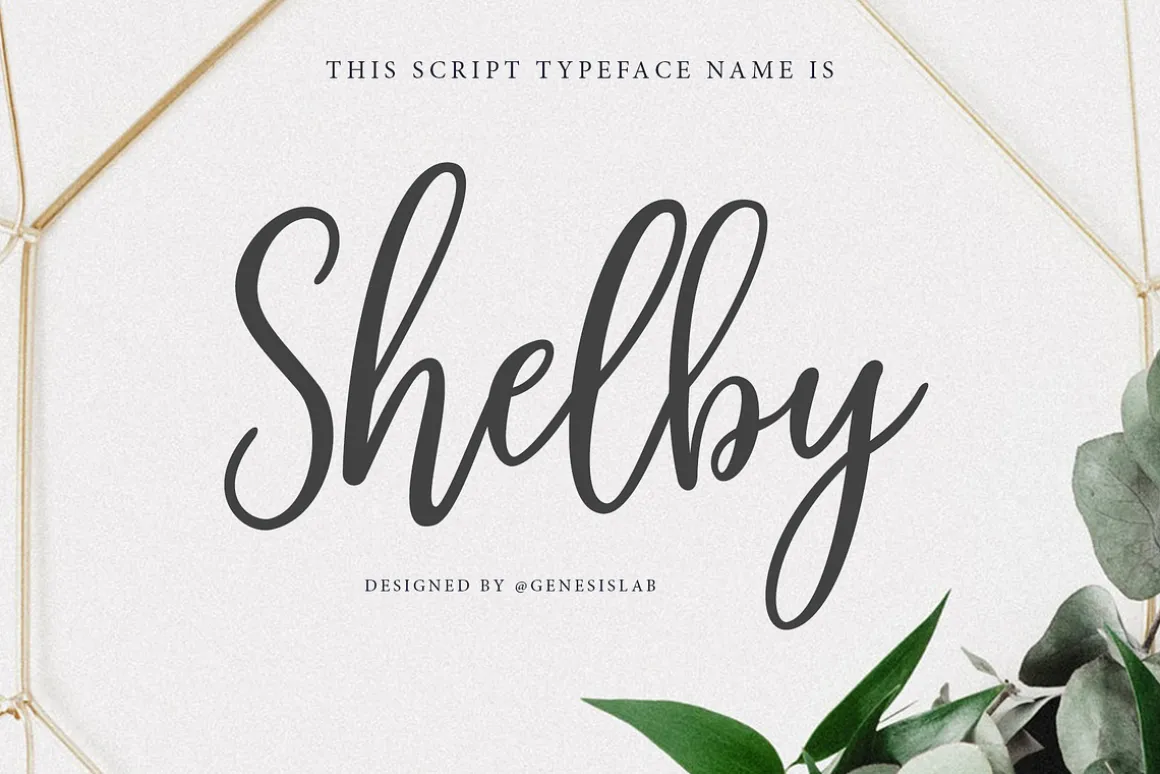 Shelby Script