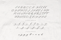 She Lost Her Mind | Font duo