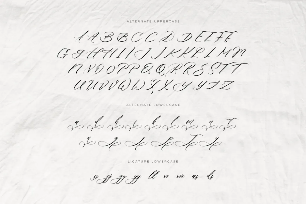 She Lost Her Mind | Font duo