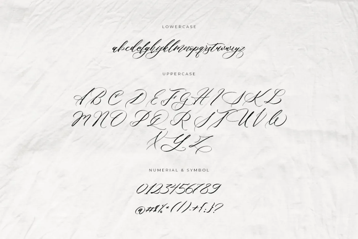 She Lost Her Mind | Font duo