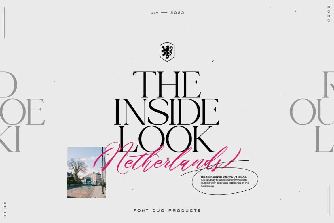She Lost Her Mind | Font duo