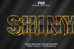 Shiny Luxury 3d Text Effect Font