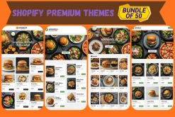 Shopify Premium 50 Themes