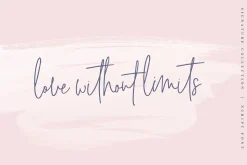 Signature Collection Script Font
