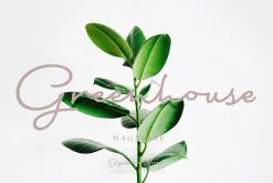 Signature Script Intro Sale