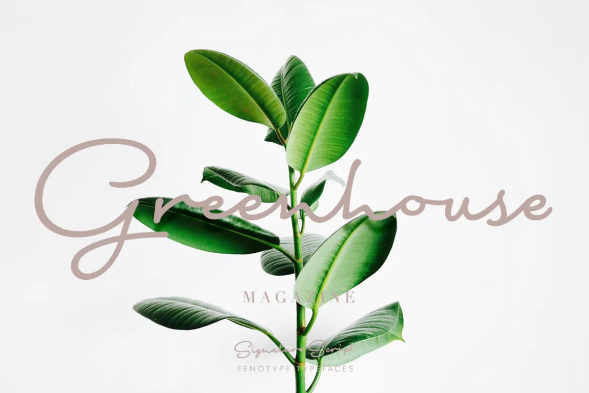 Signature Script Intro Sale