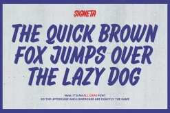 Signeta - Vintage Sign Painting Font