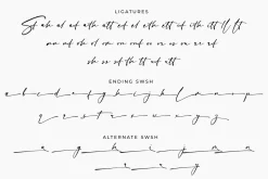 Sign Style – Elegant Signature Font