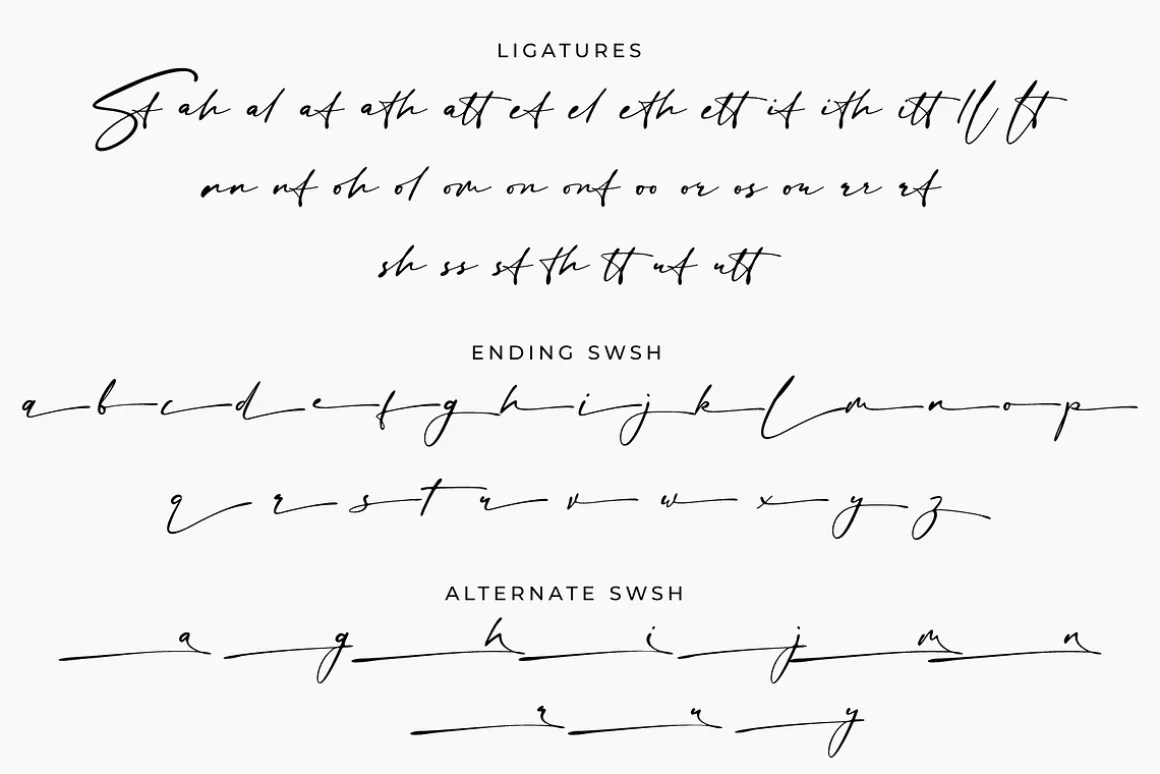Sign Style – Elegant Signature Font