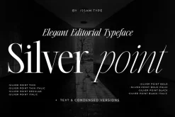 Silver Point–Elegant Editorial Serif