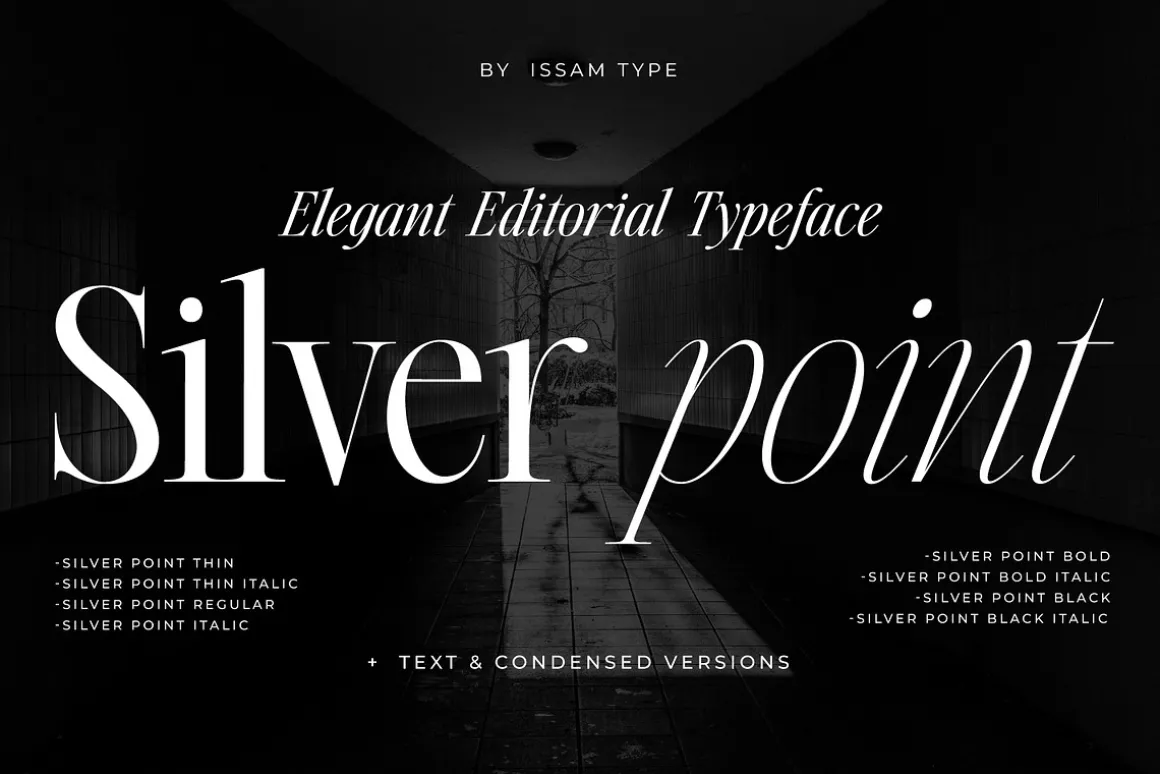 Silver Point–Elegant Editorial Serif