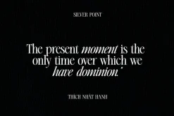 Silver Point–Elegant Editorial Serif